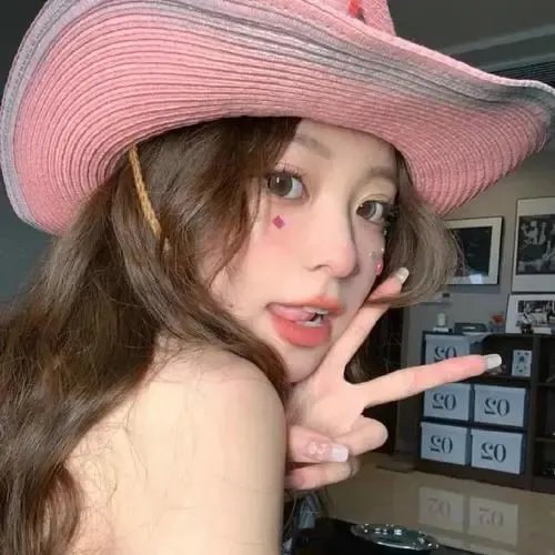 汽车女窃贼